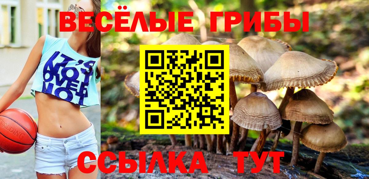 Галлюциногенные грибы мухоморы  Вход с VPN  Богородицк 